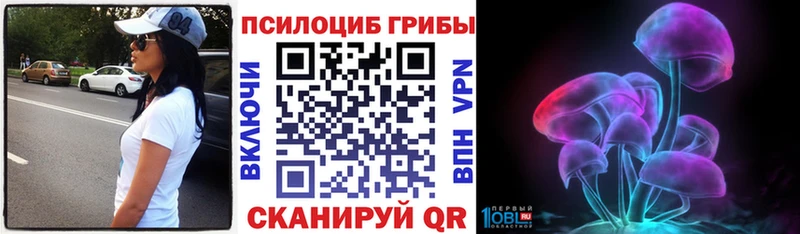 мега tor  Жуковский  Псилоцибиновые грибы Psilocybe 